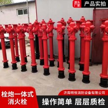 厂家供应防撞固定式消防水炮 防冻自泄PZ100PS30栓炮一体式消防栓