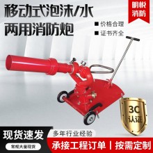现货高稳定性消防水炮设备 手推移动式泡沫水两用消防炮批发厂家